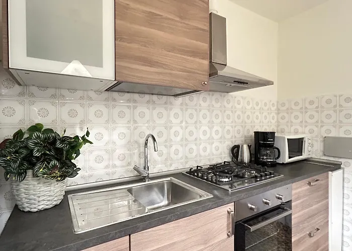 아파트 Discovering Pulicchio