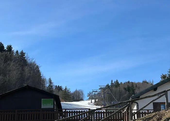 아파트 Discovering Pulicchio