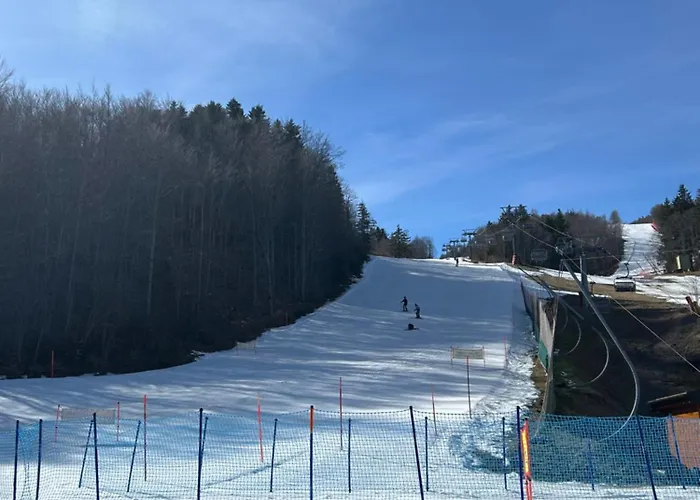 Discovering Pulicchio *