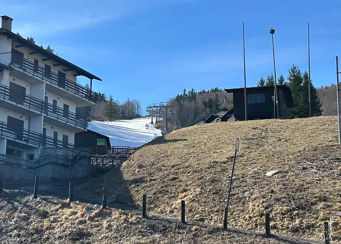 아파트 Discovering Pulicchio *